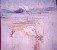 Rabbit Dry Lake